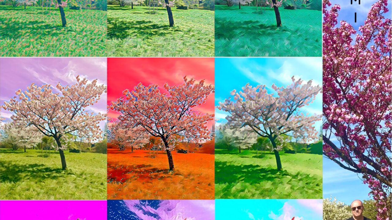 Cherry Blossoms in Sound: Mark J Soler’s “Hanami” Blooms with Emotion